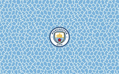 四喜娱乐焦点-什琴斯尼直言点球规则应该修改